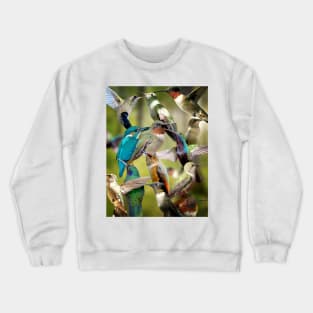 Humming Birds Crewneck Sweatshirt